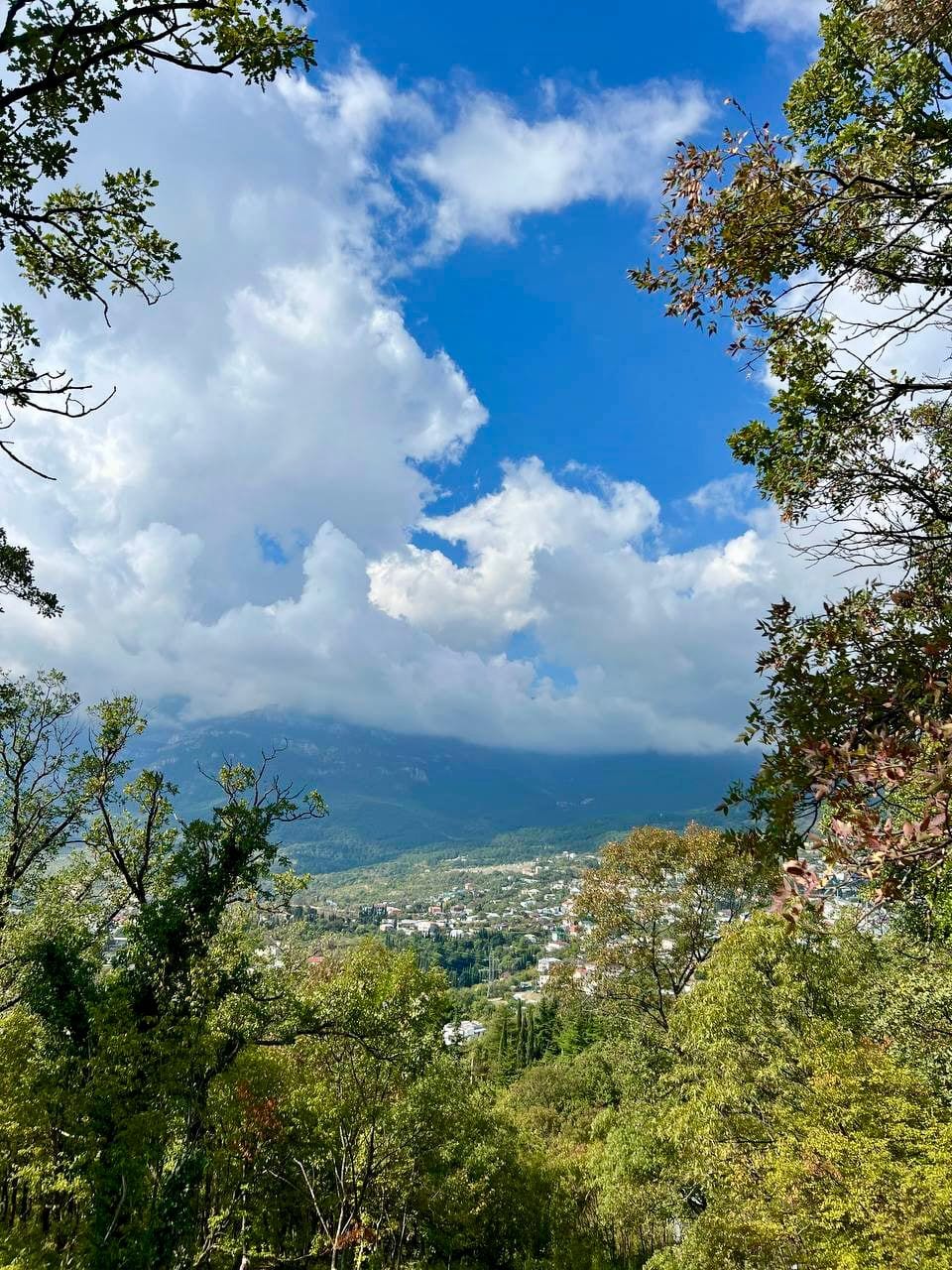 ЖК Ботаника Ялта — фото 4